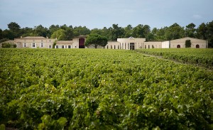 Domaine de Chevalier Domaine Chevalier 300x183 Domaine de Chevalier Graves Pessac Leognan Bordeaux Wine