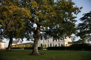 Guiraud Guiraud 300x200 Chateau Guiraud Sauternes Bordeaux Wine