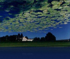 Lafite Blue 300x251 Chateau Lafite Rothschild Pauillac Bordeaux Wine