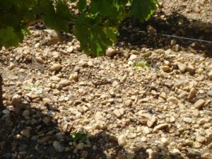 Lafleur dirt 300x225 Chateau Lafleur Pomerol Bordeaux Wine