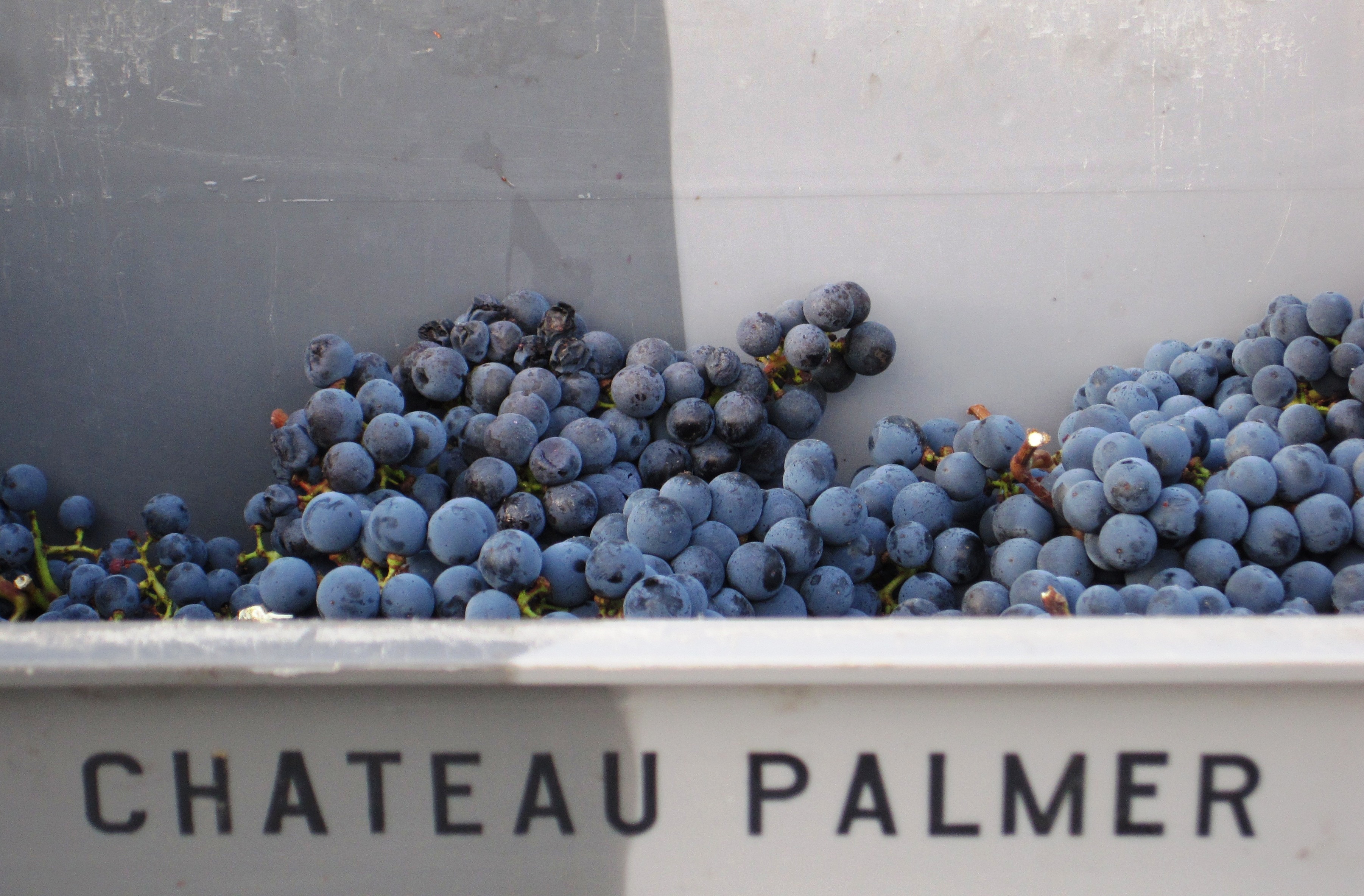 Chateau Palmer Alter Ego de Palmer 2010 Bordeaux Red Blends Wine Red Blends Wine Chateau Palmer Alter Ego de Palmer 2010 Bordeaux Red Blends Wine Red Blends Wine