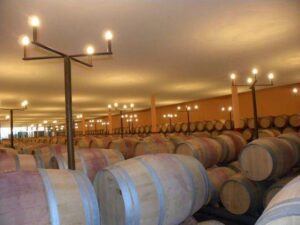 ducru barrel 300x225 Chateau Ducru Beaucaillou St. Julien Bordeaux Wine