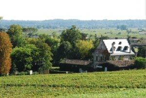 Chateau La Gaffeliere 2010 Bordeaux Red Blends Wine Red Blends Wine Chateau La Gaffeliere 2010 Bordeaux Red Blends Wine Red Blends Wine