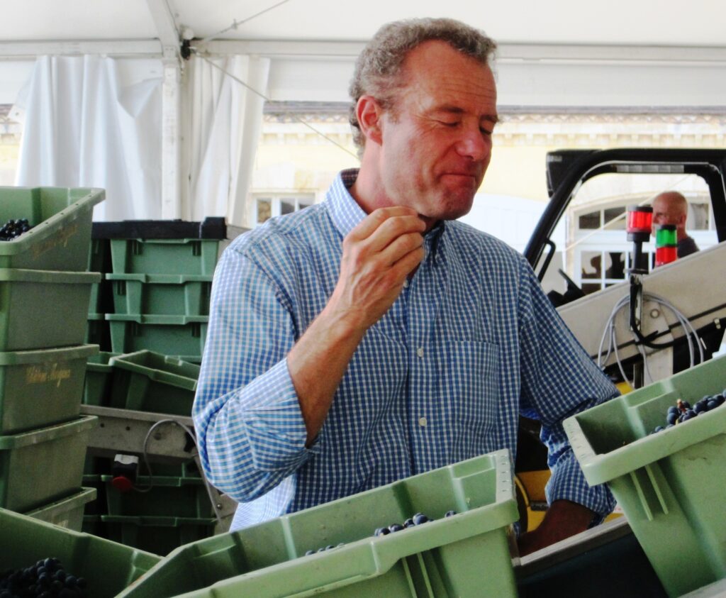 2009 Bordeaux Harvest Margaux Paul grapes 1024x843 Paul Pontallier 2009 Margaux Harvest a perfect vintage! Other Chateaux weigh in