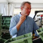 2009 Bordeaux Harvest Margaux Paul grapes