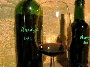 L'Aurage LAurage1 300x224 Domaine de lAurage Cotes de Castillon Bordeaux Wine