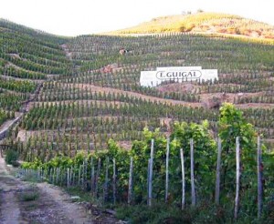 cote rotie hills 300x246 Rhone Wine Guide Cote Rotie Producer Profiles