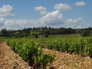 CNDP 5 300x225 Clos Saint Jean Chateauneuf du  Pape Rhone Wine