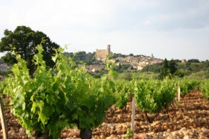 CNDP SOIL 2 CNDP SOIL 2 300x199 Domaine de Marcoux Chateauneuf du Pape Rhone Wine