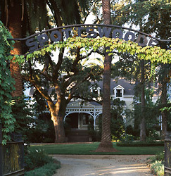 Spottswoode Cabernet Sauvignon Spottswoode Spottswoode California Wine Cabernet Sauvignon