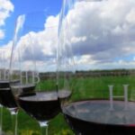 Haut Bailly Glasses
