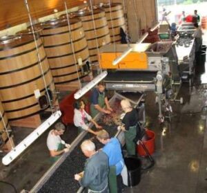 2012 Marquis d'Alesme 2012 Marquis dAlesme 300x279 2012 Marquis d’Alesme 2012 Labegorce Margaux Vintage Harvest Report