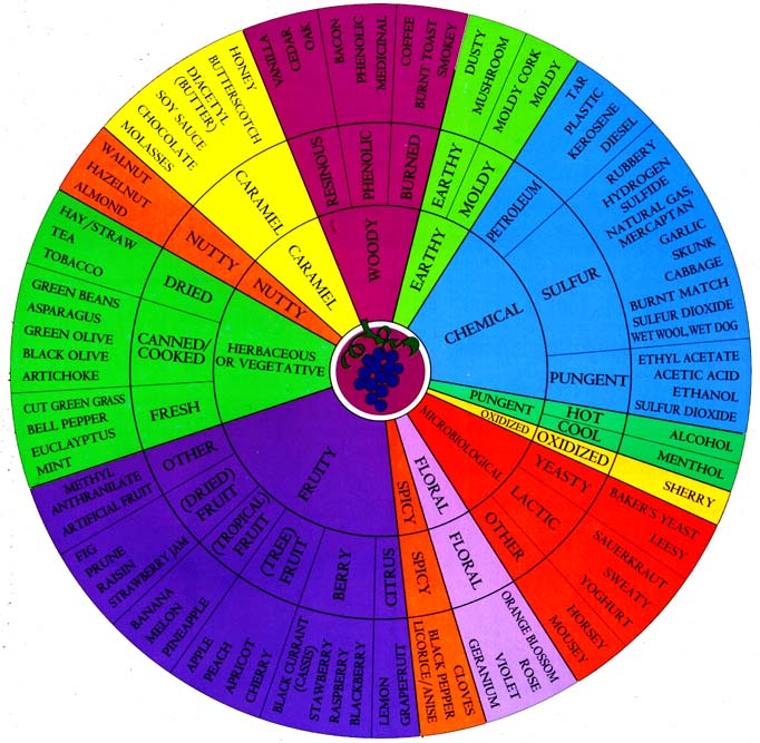 Wine Aroma Wheel from UC Davis