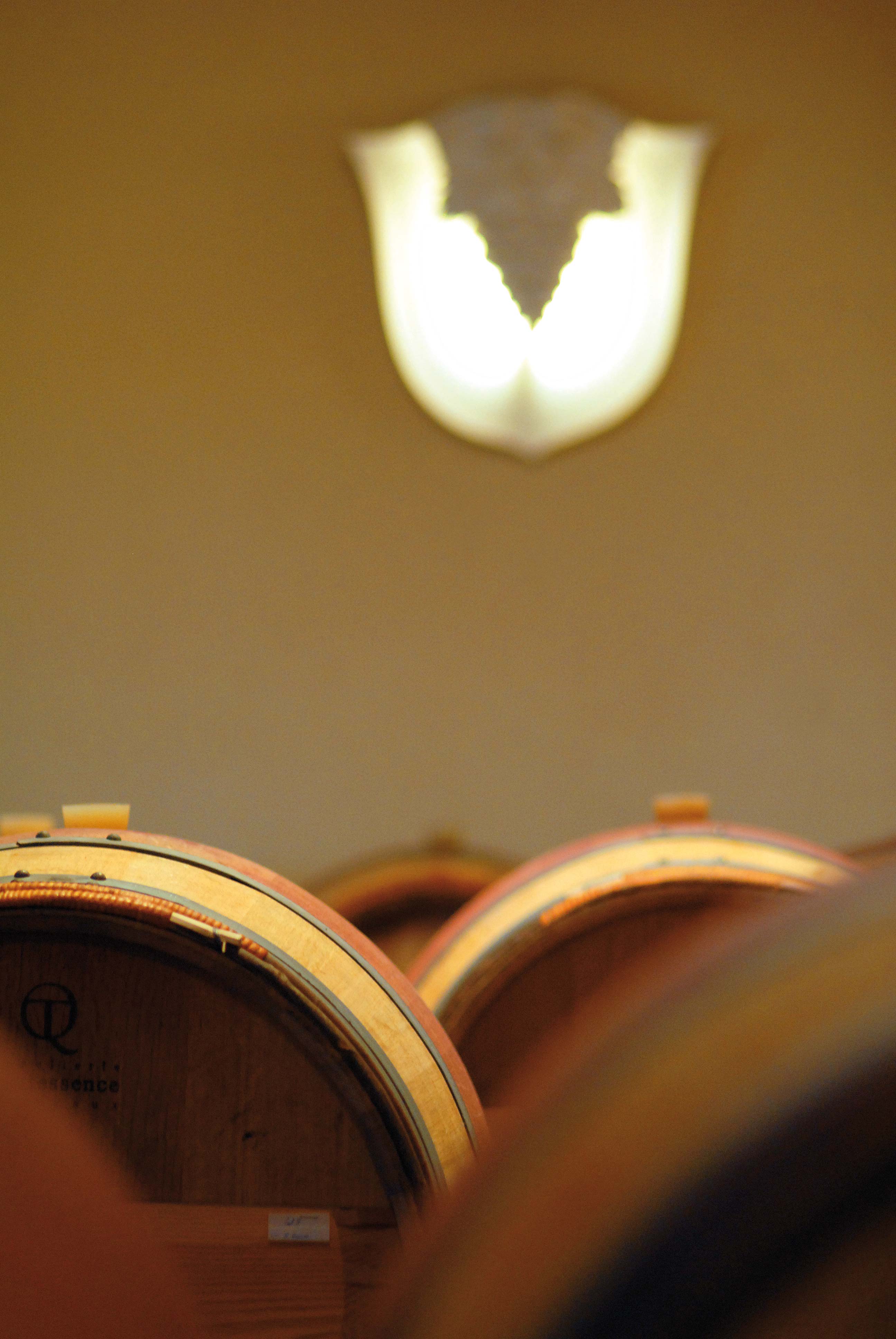 Anaka2(323) The Wine Cellar Insider