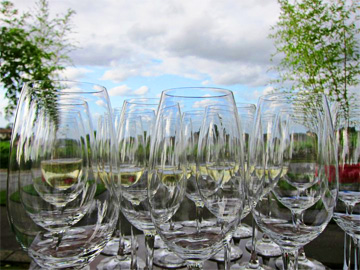 Bordeaux wine Glasses blue sky