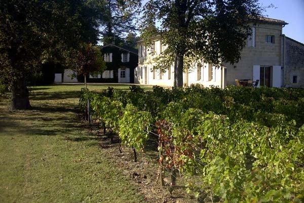 Chateau Godeau St. Emilion Bordeaux, Complete Guide