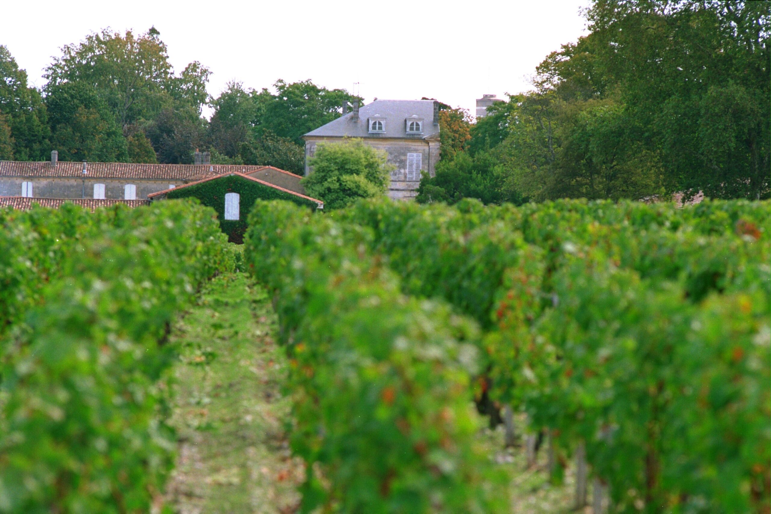 Chateau d’Armailhac Pauillac, Bordeaux, Complete Guide