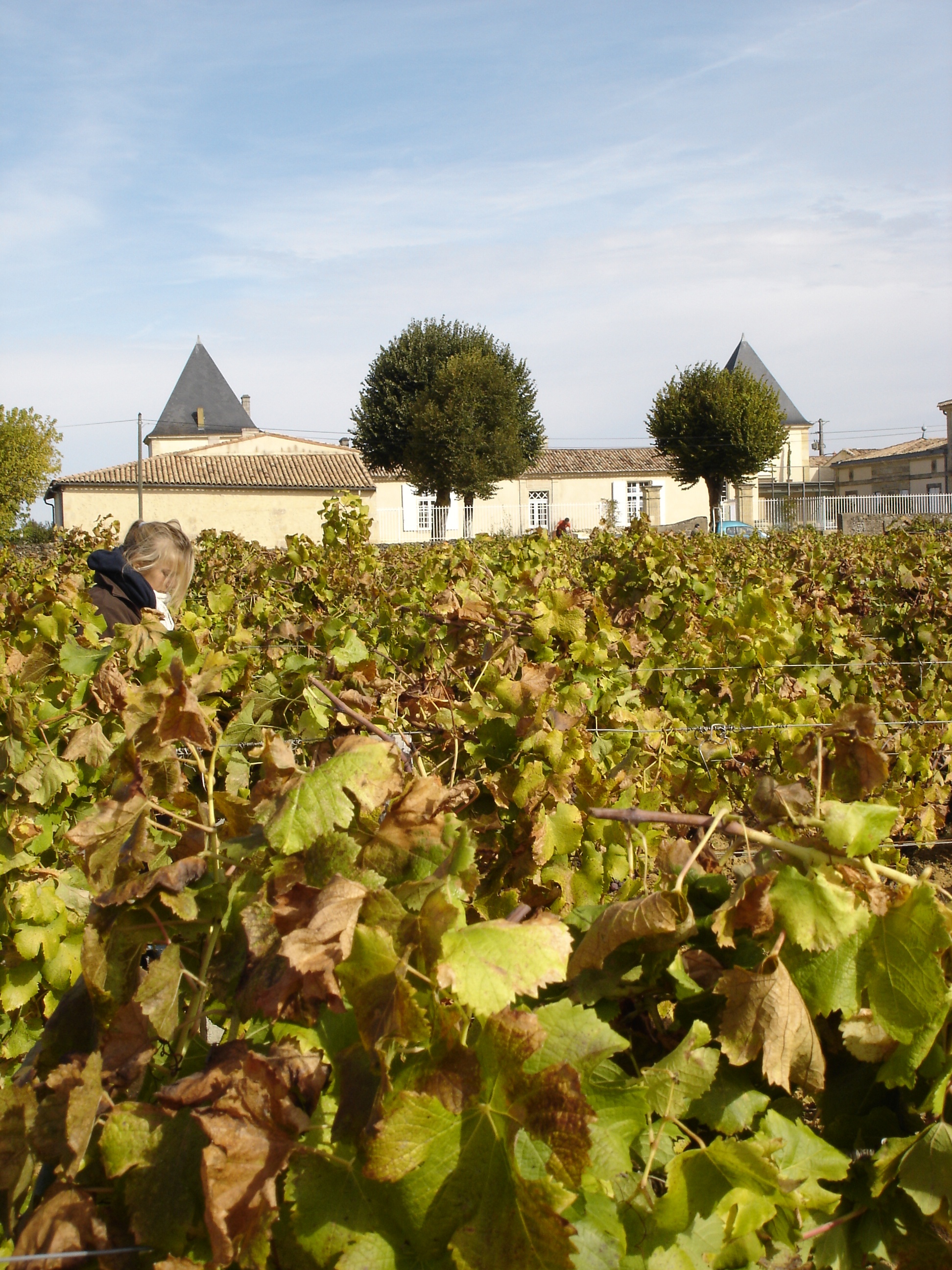 Climens Chateau1 Wine Tasting Notes, Ratings
