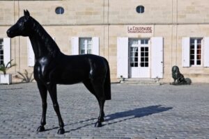 Learn about Chateau La Couspaude St. Emilion Wine, Complete Guide