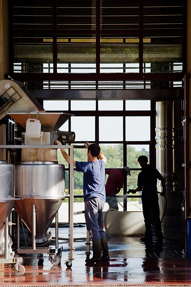 Domaine de Chevalier Pessac Leognan The Wine Cellar Insider