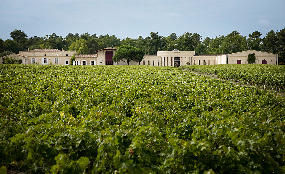 Domaine de Chevalier Pessac Leognan Bordeaux, Complete Guide