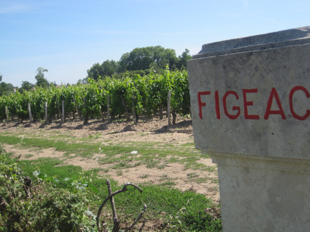 Learn about Chateau Figeac St. Emilion Bordeaux Complete Guide