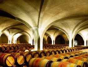 Gruaud Larose Barrel Cellar