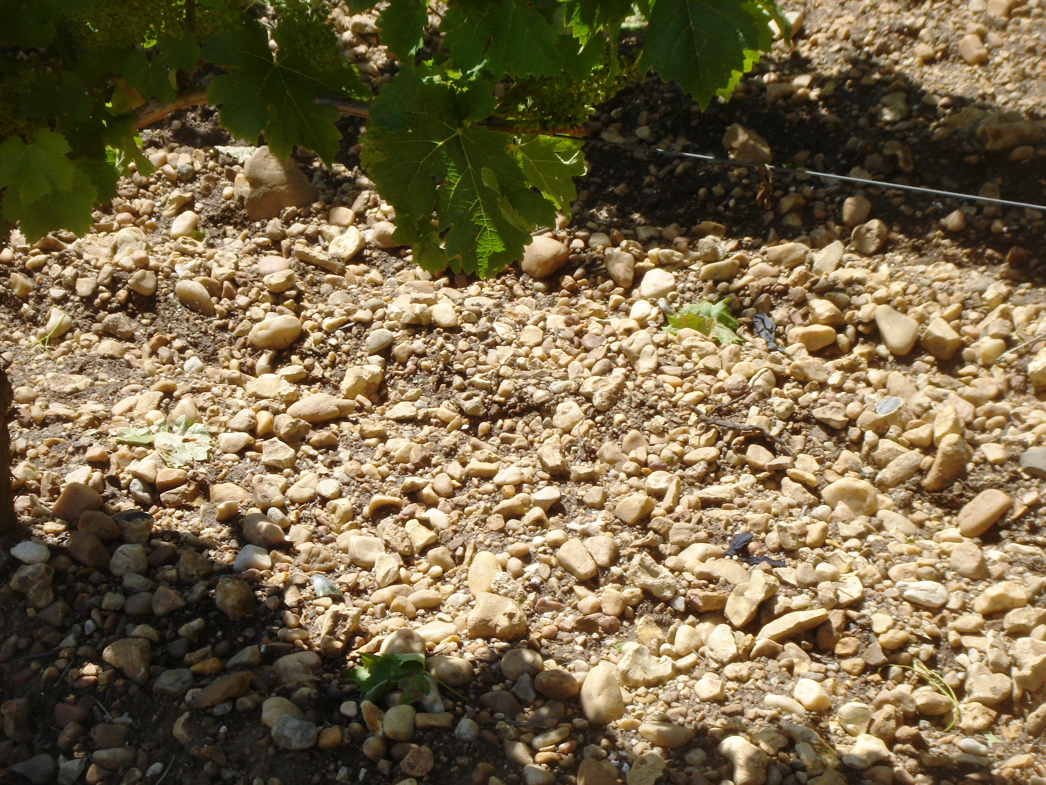 Lafleur dirt The Wine Cellar Insider