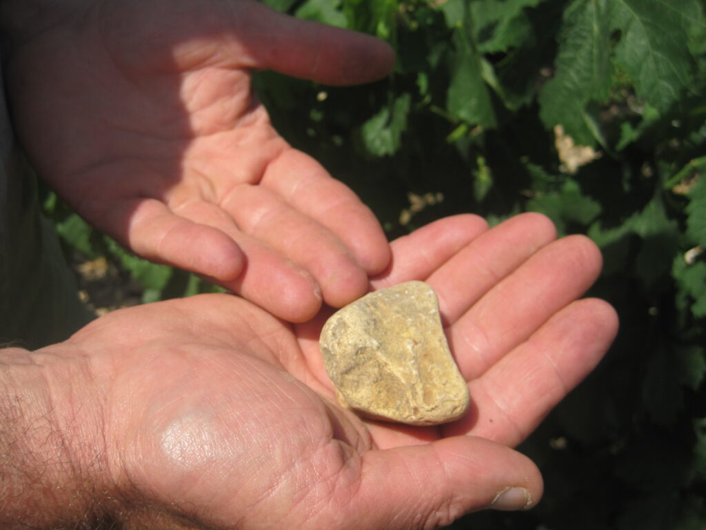 Learn about Chateau Lafleur Pomerol Wine, Complete Guide