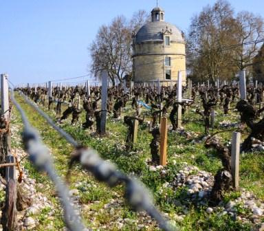 Château Latour, o mais potente dos Premiers Grands Crus de Bordeaux