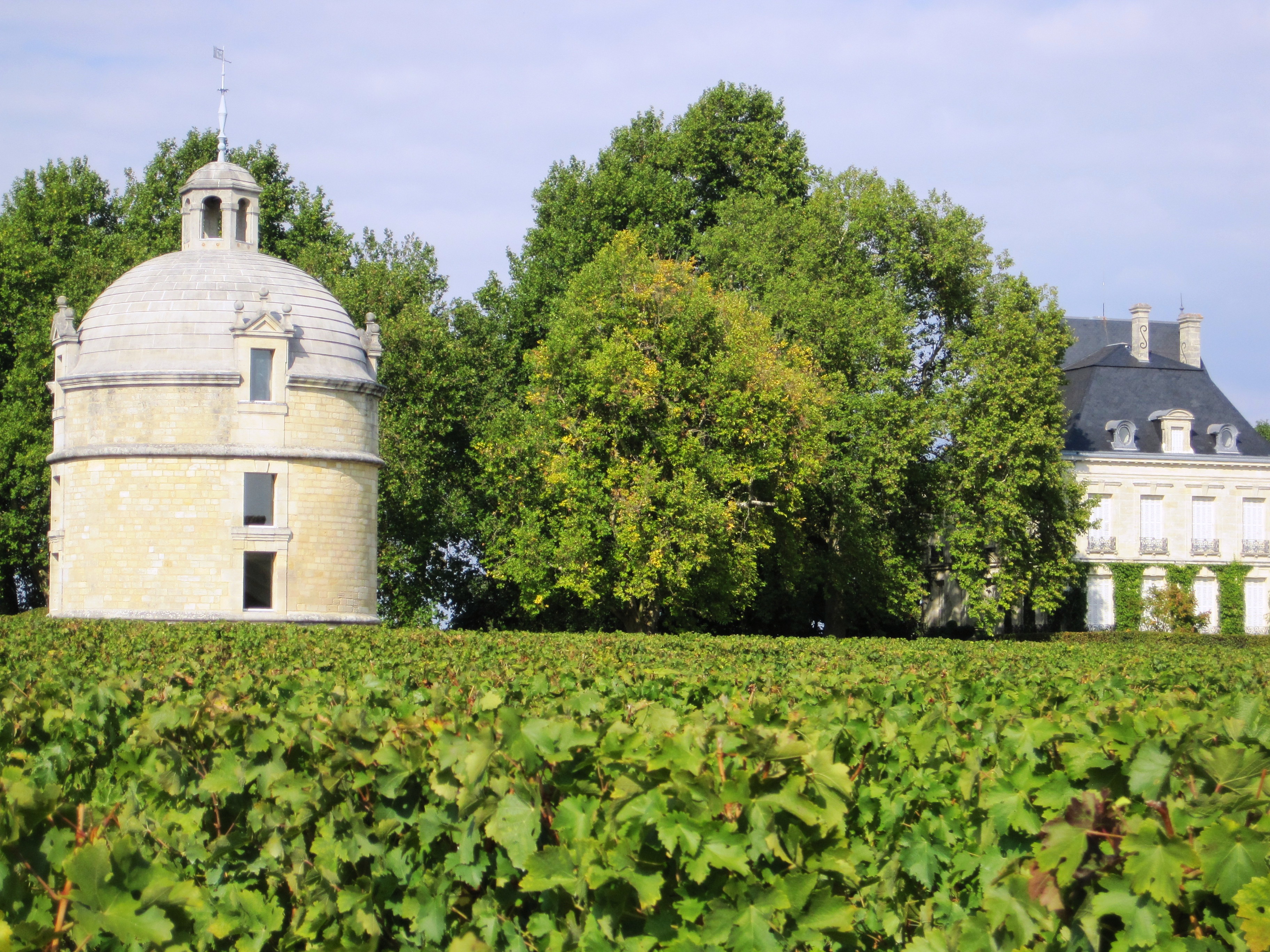 Latour The Wine Cellar Insider