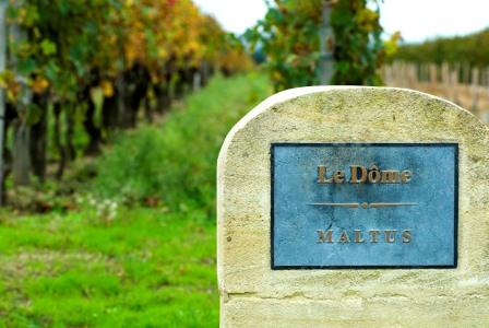 Learn All About Le Dome St Emilion Bordeaux Complete Guide Learn All About Le Dome St Emilion Bordeaux Complete Guide