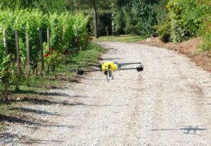 Pessac Leognan, about Learn Guide Clement Complete Chateau Pape