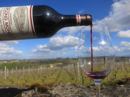 2015 Saint Emilion Tasting Notes, Over 150 of the Best Wines Rated!