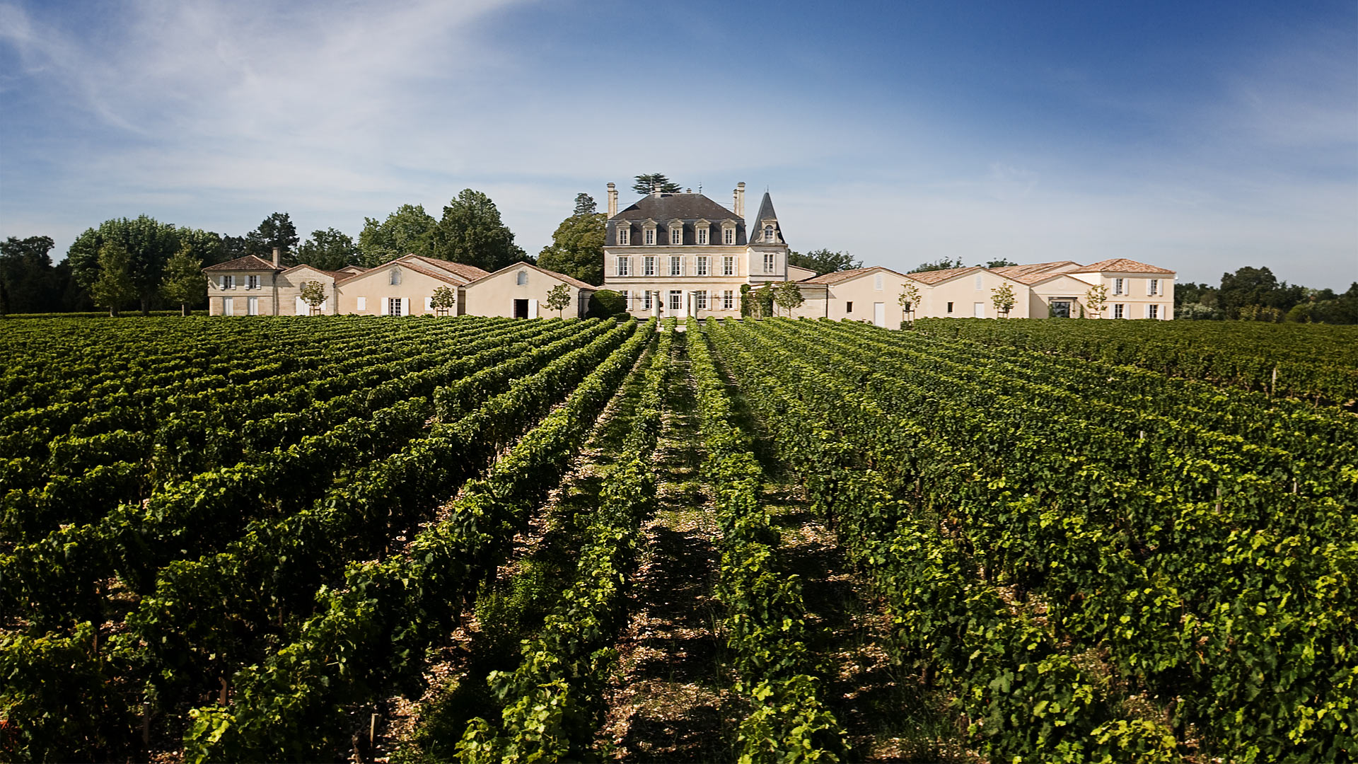 Chateau Grand Puy Lacoste Pauillac Bordeaux, Complete Guide