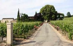 Chateau Saint Georges-Cote Pavie St. Emilion Bordeaux Complete Guide