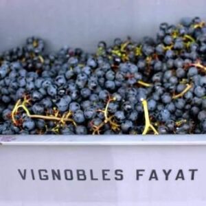 Chateau Fayat Pomerol