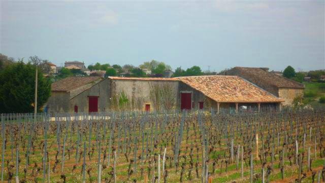 Domaine de l’Aurage Cotes de Castillon Bordeaux, Complete Guide