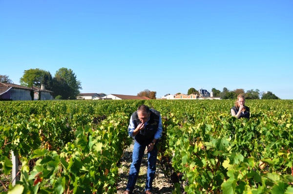 2010 Chateau Palmer Harvest Thomas Duroux Interview