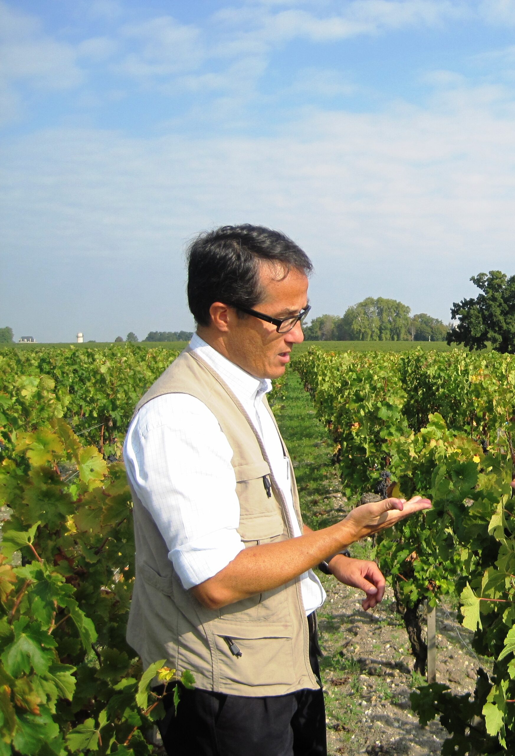 2010 Pichon Lalande Harvest, Thomas Do Chi Nam Optimistic!