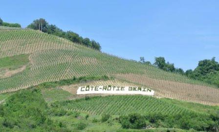 Domaine Jean Michel Gerin Cote Rotie Rhone Wine, Complete Guide