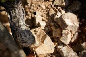 Hermitage Soil