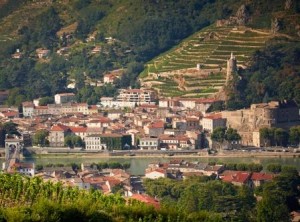 Northern Rhone Hills Vines