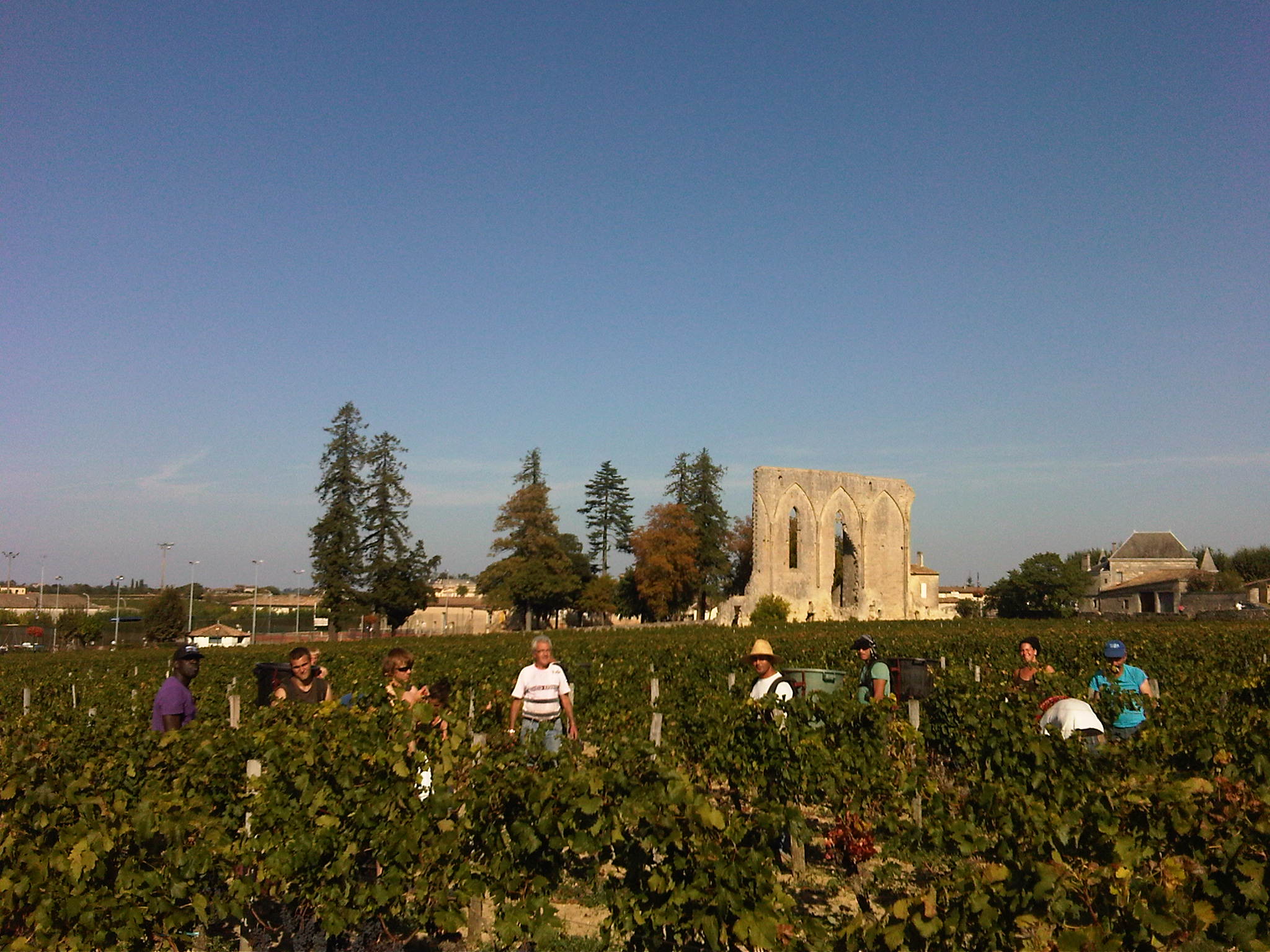 Clos St. Martin St. Emilion, Smallest Classified Bordeaux Wine