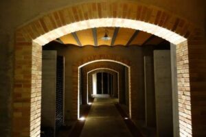 Clos des Papes Cellars