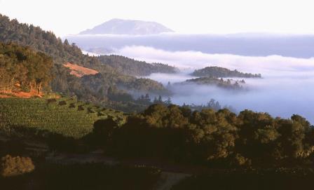 All about California Wines, Winemakers, Wineries, Grapes Soil, History