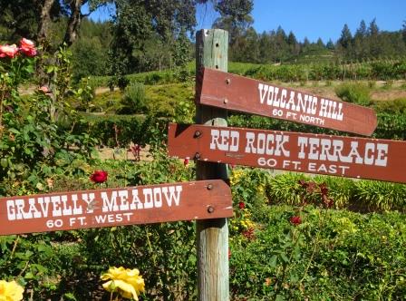 Diamond Creek Vineyards sold to Roederer Champagne