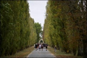 Bordeaux Vineyards