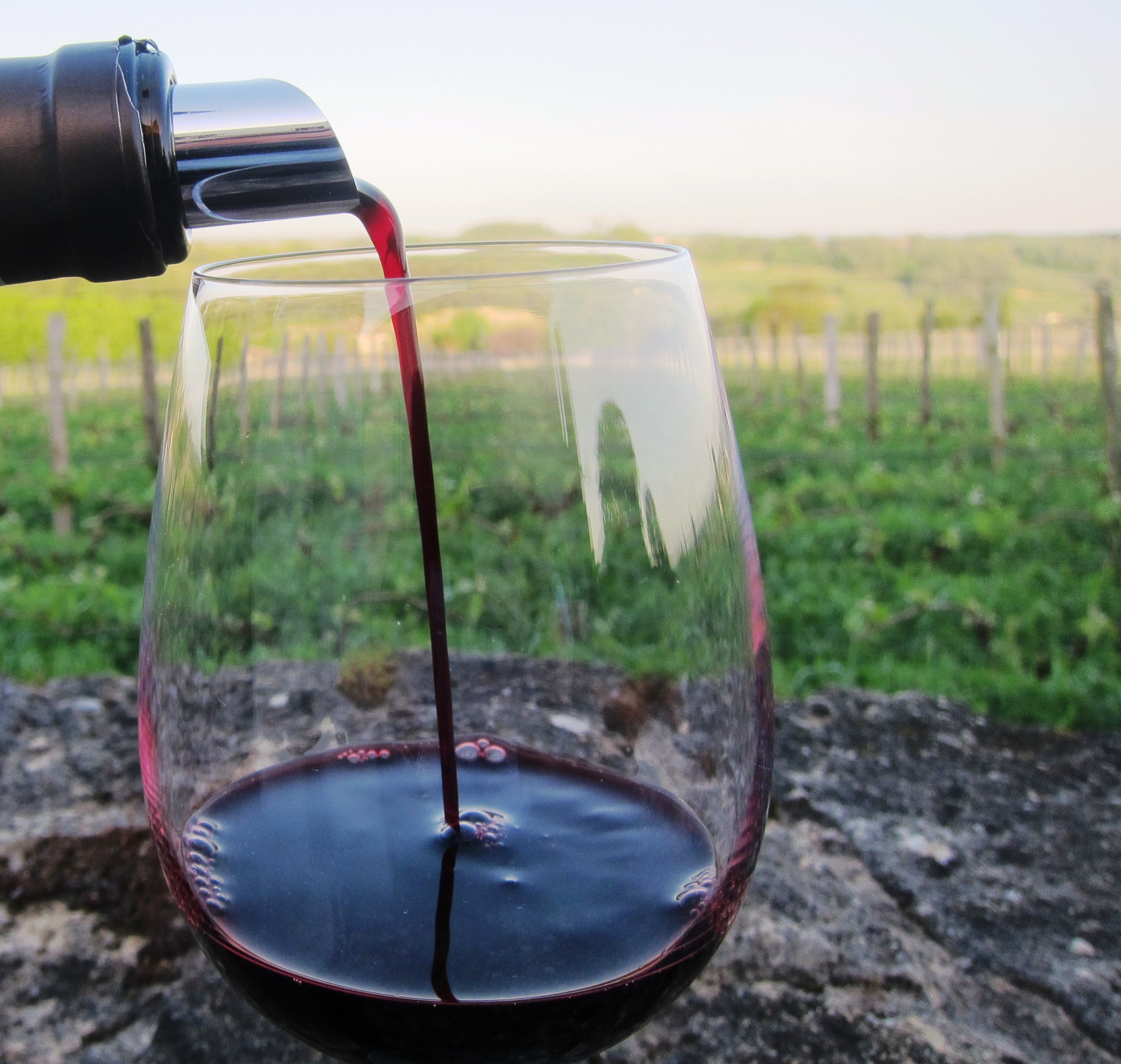 2010 Bordeaux wine tasting The Wine Cellar Insider