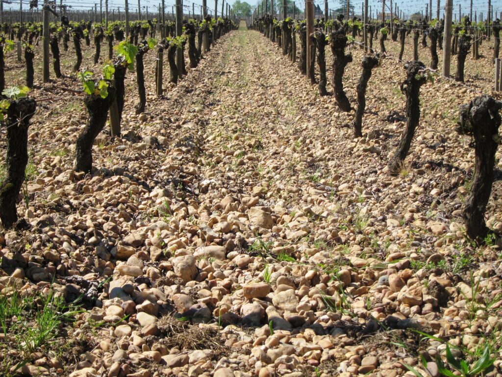 Complete All About Bordeaux Guide to the Best Bordeaux Wines